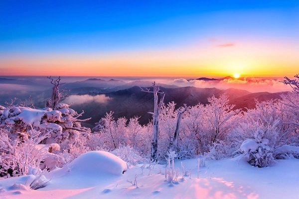 Cảnh đẹp mùa đông Kỳ diệu như từ xứ sở thần tiên băng giá